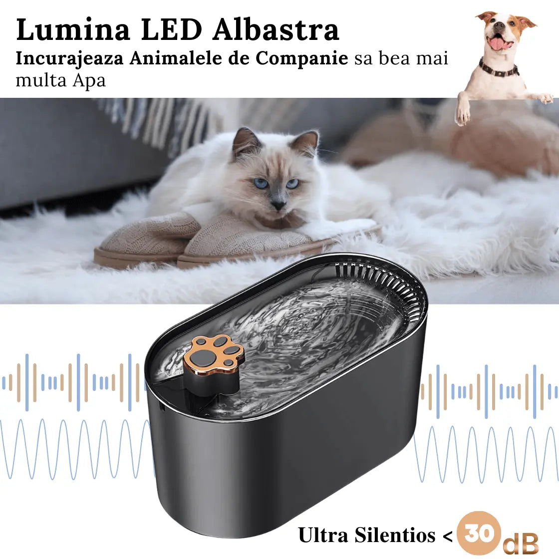 Dispenser de Apa Automat, Tip Fantana pentru Pisici/Caini cu Purificare si Filtrare prin Carbune Activ, Led Luminos, 3L, Senzor Nivel Apa, Silentios, Adaptor Priza, Dark Gray - Cumpara24