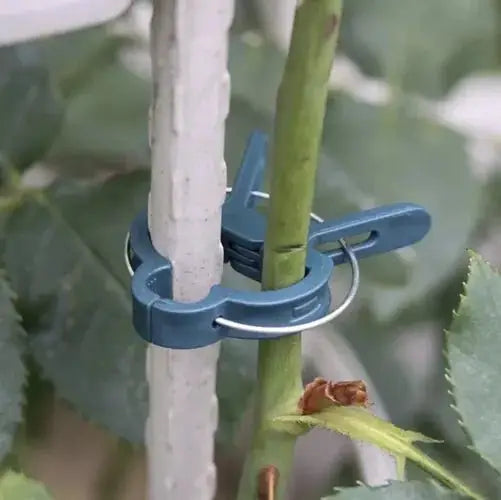 Clips pentru plante fixat pe o tulpină, oferind suport optim pentru creștere. Ideal pentru grădinărit și susținerea plantelor fragile.