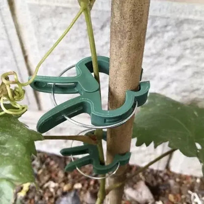 Clips verde pentru plante, fixat pe o viță de vie pentru susținere optimă. Accesoriu ideal pentru grădinărit și protecția plantelor.