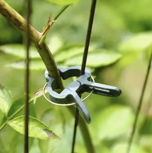Clips verde pentru plante, utilizat pentru susținerea tulpinilor pe suporturi. Accesoriu esențial pentru grădinărit eficient.