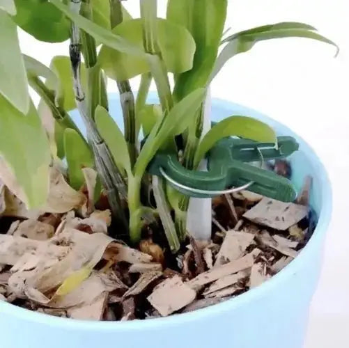 Clips pentru plante fixat pe un suport într-un ghiveci, oferind stabilitate tulpinilor. Perfect pentru grădinărit și îngrijirea plantelor.