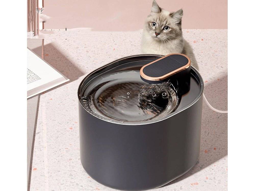 Pisica langa fantana automata de apa pentru animale, cu filtru si design elegant.
