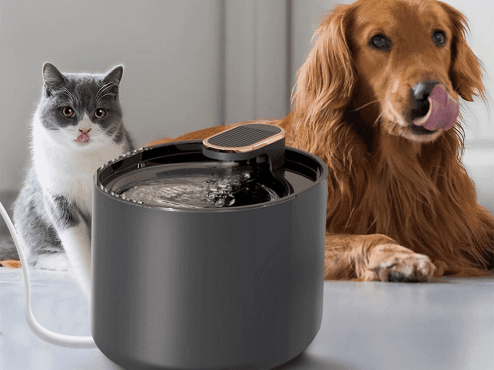 Fantana automata de apa pentru animale, ideala pentru pisici si caini de talie mica si medie.