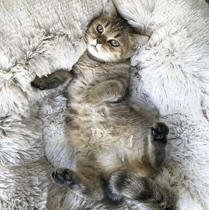 Pat Pentru Animale de Companie, Rotund, Gri - Cumpara24