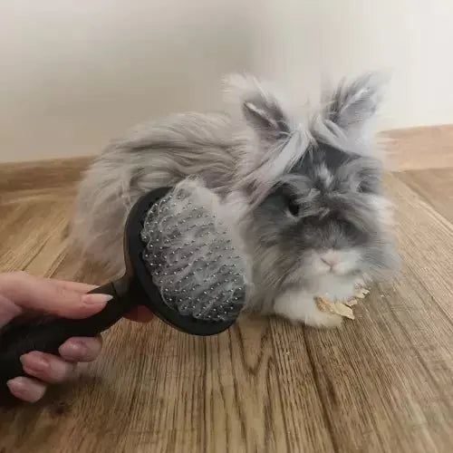 Perie de Par Ergonomica cu Autocuratare pentru Animale de Companie, Negru - Cumpara24
