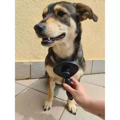 Perie de Par Ergonomica cu Autocuratare pentru Animale de Companie, Negru - Cumpara24