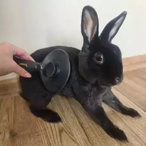 Perie de Par Ergonomica cu Autocuratare pentru Animale de Companie, Negru - Cumpara24