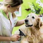 Perie Pentru Caini, Cap Detasabil - Cumpara24