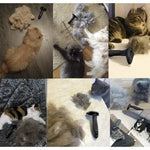 Perie Pentru Caini, Cap Detasabil - Cumpara24