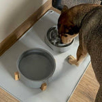 Suport din Silicon Pentru Bol de Mancare/Apa - Cumpara24