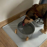 Suport din Silicon Pentru Bol de Mancare/Apa - Cumpara24