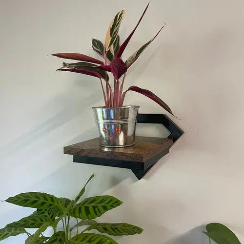 Suport Metalic de Perete Special pentru Plante - Cumpara24