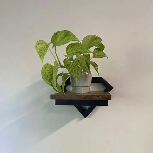 Suport Metalic de Perete Special pentru Plante - Cumpara24